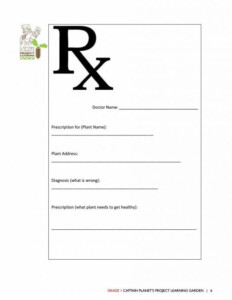 30 Fake Prescription Label Template In 2020 Printable