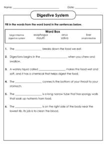 4th Grade Science Worksheets Best Coloring Pages For Kids