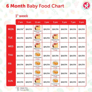 6 Months Baby Food Chart With Indian Recipes Months