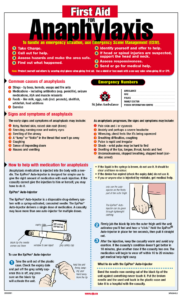 Anaphylaxis Poster First Aid By Dfsdf224s