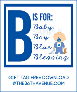 Baby Boy Blue Basket Gift Idea The 36th AVENUE