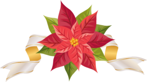 Christmas Poinsettia Wallpapers Wallpaper Cave