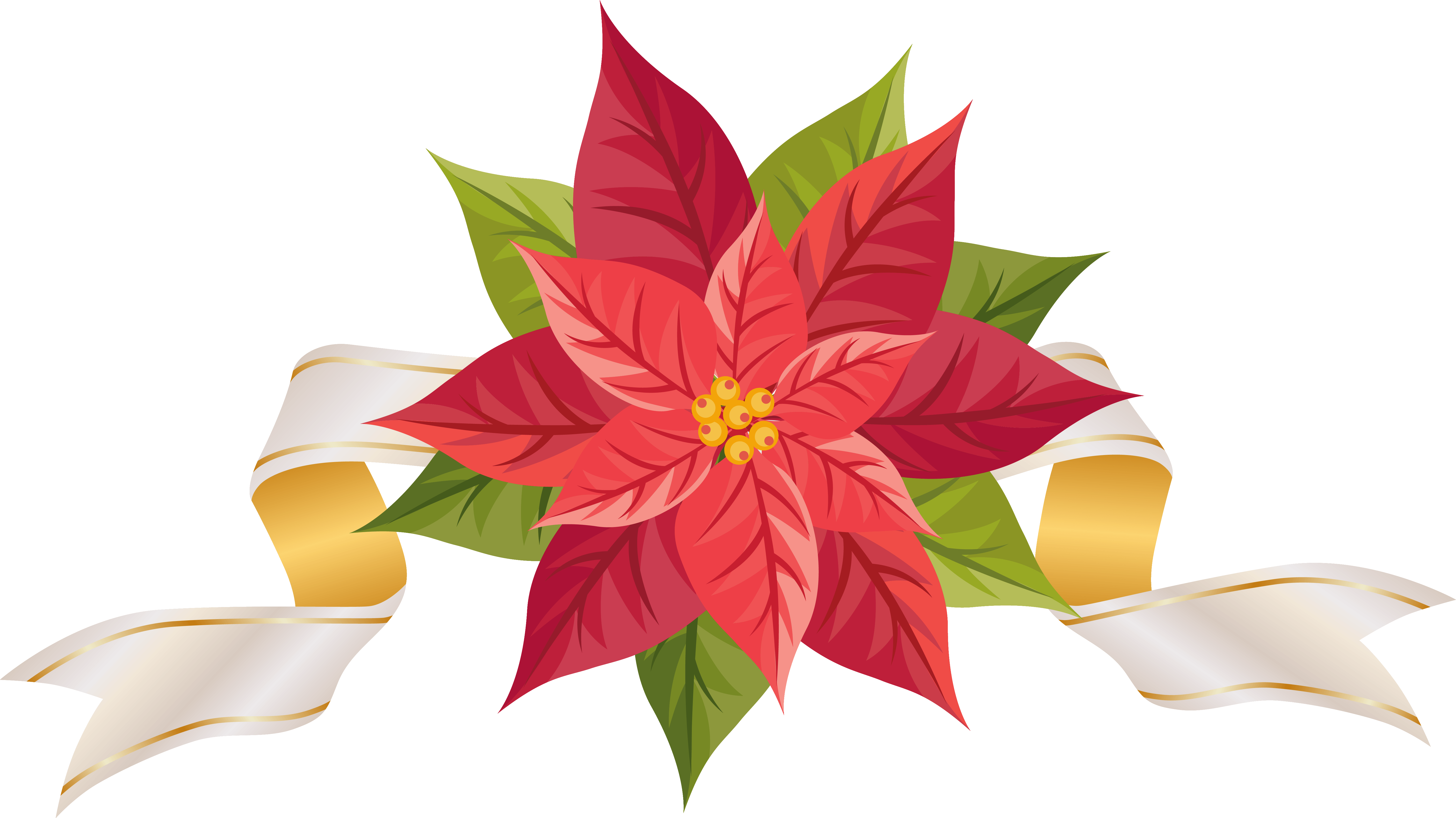 Christmas Poinsettia Wallpapers Wallpaper Cave