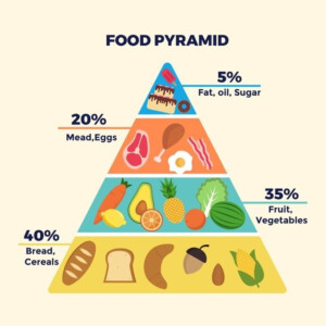 Download Food Pyramid Template Theme For Free In 2020