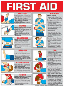 First Aid Poster 18 X 24 Laminated FA6B By Algra