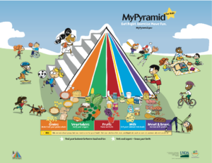 Food Pyramid 2020 Basics Money s Influence On USDA