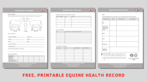 FREE PRINTABLE EQUINE HEALTH RECORD Thompson And Redwood