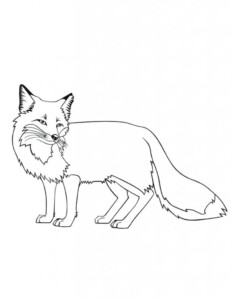 Free Printable Fox Coloring Pages For Kids