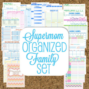 INSTANT DOWNLOAD Mom Planners Home Organization