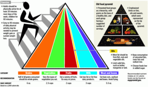 New Food Pyramid Coming June 2 USDA Says KDT Optometry