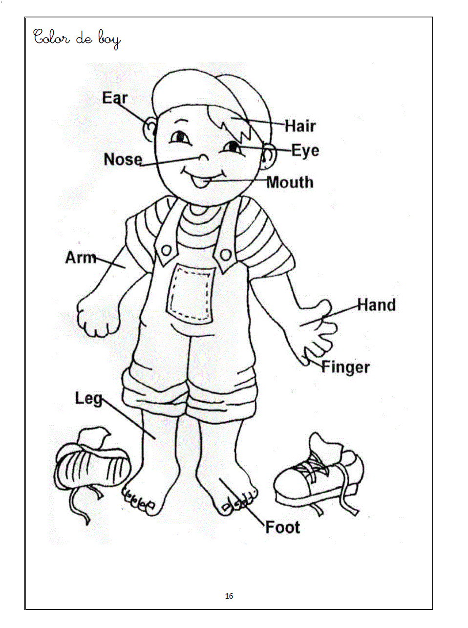 Parts Of The Body Drawing At GetDrawings Free Download