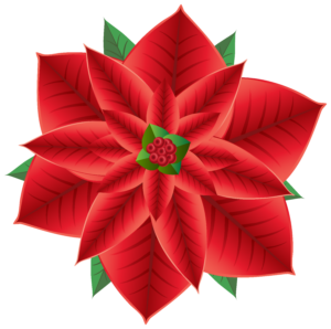 Poinsettia Christmas Flower Clip Art Christmas