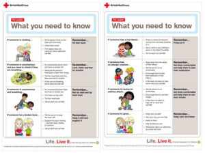 Printable First Aid Information First Aid Information