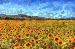 Van Gogh Summer Sunflowers Art Print By David Pyatt Van