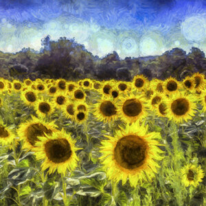 Van Gogh Sunflowers License Download Or Print For 25