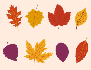 6 Best Printable Autumn Leaves Decor Printablee