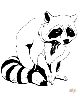 Raccoon Coloring Page Free Printable Coloring Pages