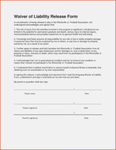 40 Personal Injury Waiver Form Desalas Template