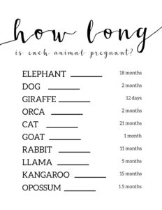 Free Baby Shower Games Printable Animal Pregnancies Paper Trail Design