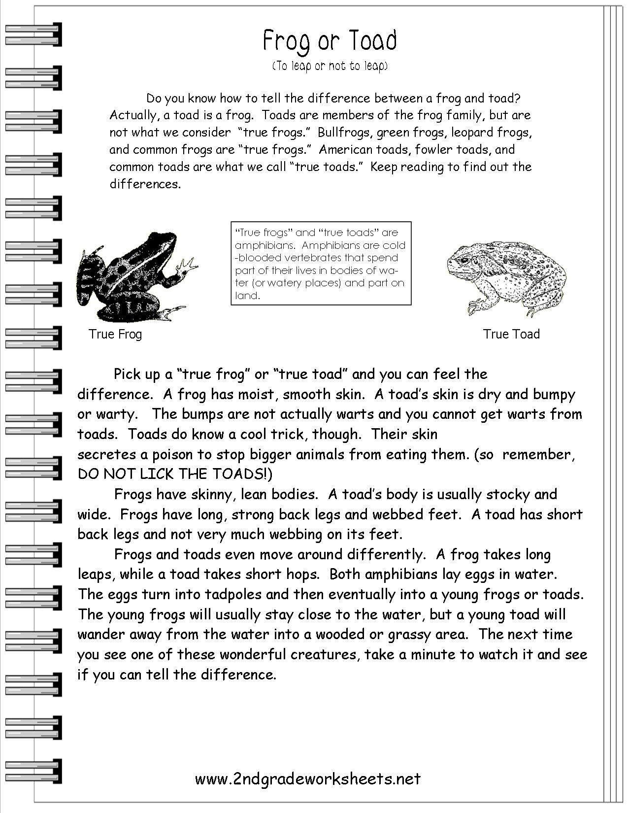 Free Printable Informational Text Worksheets 12