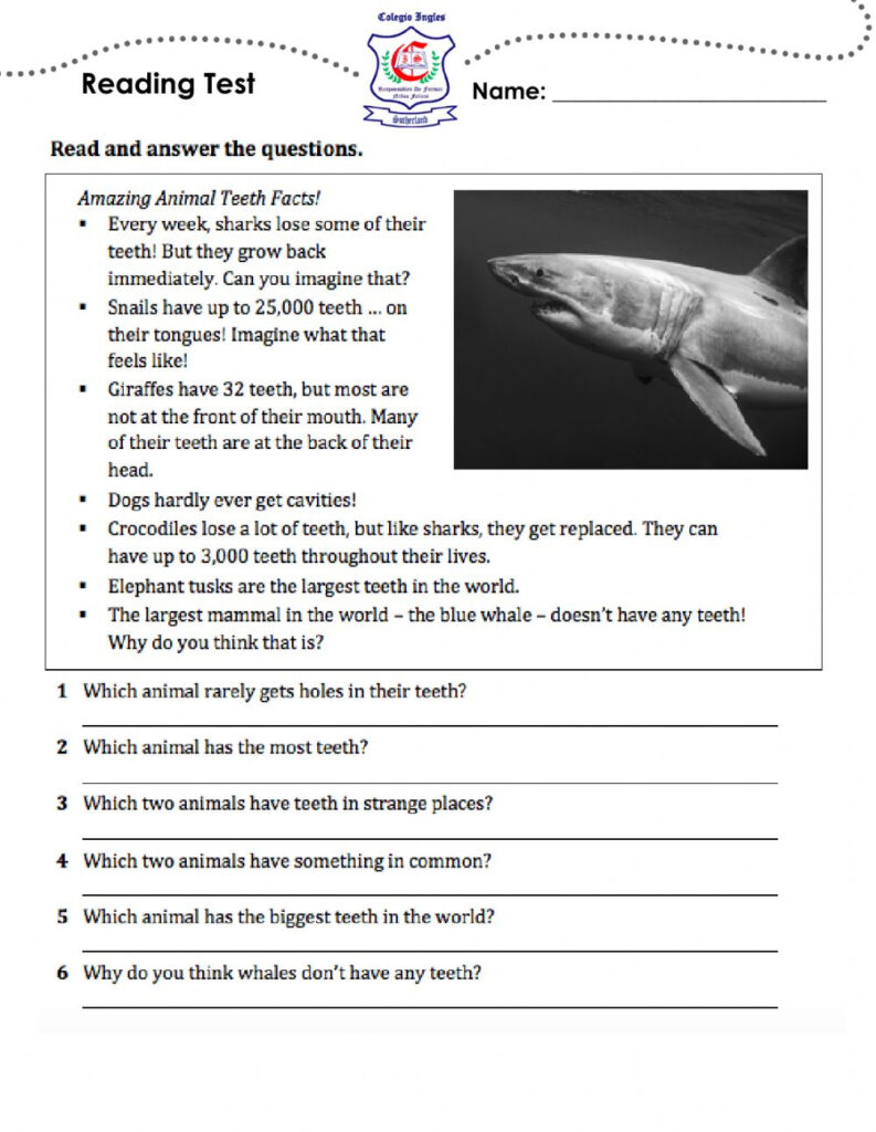 1st Reading Test 5th Grade Worksheet