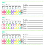 21 Day Fix Tracking Sheet 1 500 Calorie Bracket Printable PDF 21 Day