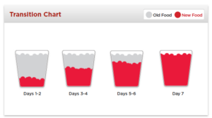 Dog Food Transition Chart