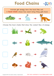 Food Webs And Food Chains Worksheet Free Printable PDF For Children