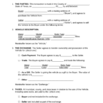 Free Texas Motor Vehicle Bill Of Sale Form PDF Word EForms