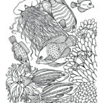 Great Barrier Reef Coloring Page At GetColorings Free Printable