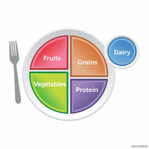 My Plate Printable Sheet Gridgit