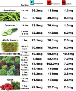 Renal Diet Food Charts Top Renal Diet Foods Dialysis Renal