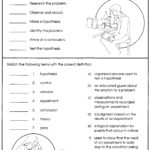 Teach Child How To Read Middle School 7th Grade Science Worksheets Pdf