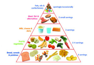 Toddler Food Pyramid First 1000 Days